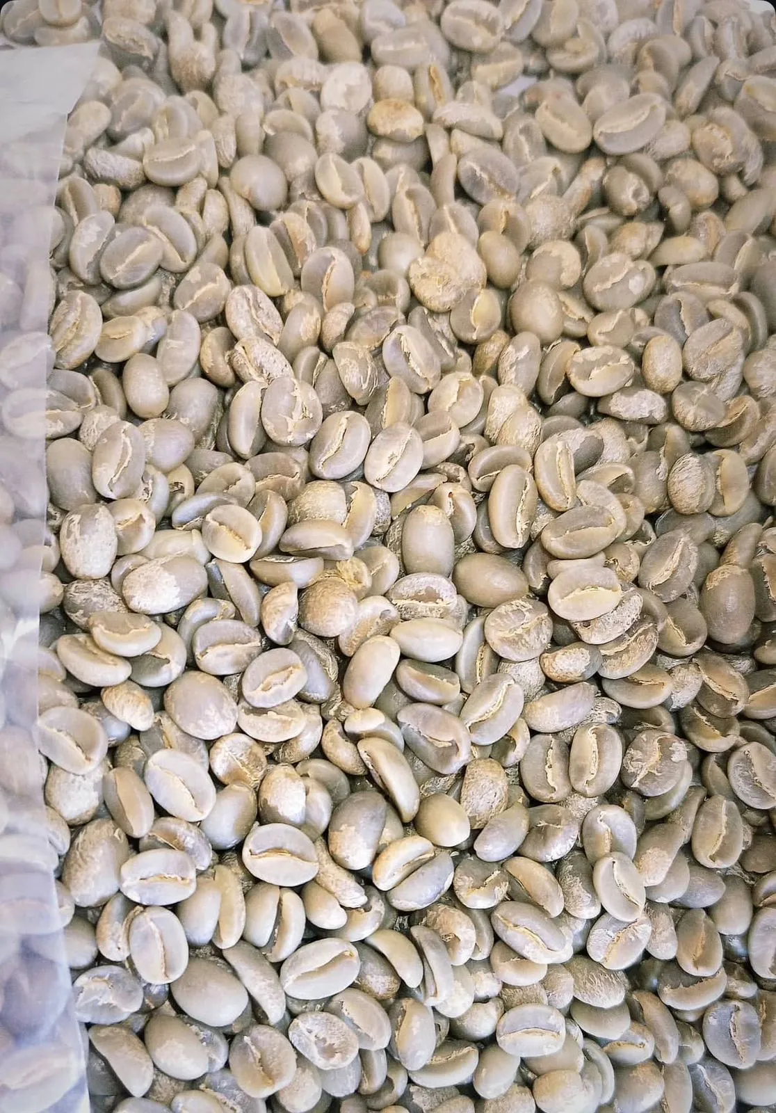 Cafe oro verde de especialidad x1kg